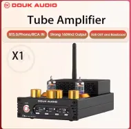 Douk Audio X1 Tube Amplifier