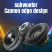 Subwoofer Speakers